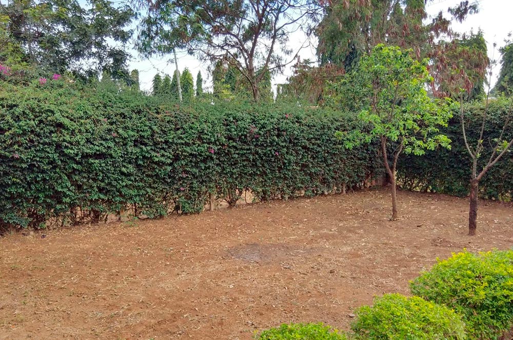 Foto previa del parque musical